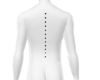 Black Spine Back Spikes