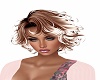 Primeira Dama Brown Blon