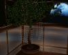 Moon light tree