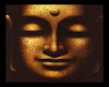 VD* THE BUDDHA TEMPLE