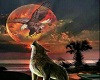 wolf moon and eagle