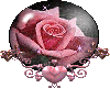 Rose in a globe
