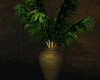 Rainforest Vase Plant