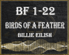 BIRDS OF A FEATHER