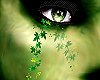 Ivy green tears - F