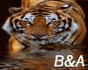 [BA] HUGE Tiger Print