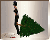 [GB]christmas  tree prep