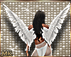 MK Angel Wings