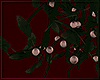 ○ Oh Oh the Mistletoe