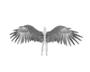 silver angel wings
