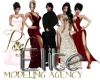P&L Modeling Agency