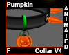 Pumpkin Collar F V4