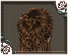 [a] Cocoa Braid Crown