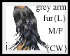 {CW}Grey Arm Fur{L}M/F