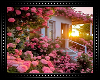 ♡ Pink Roses House BG