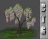 CTG WISTERIA TREE V2