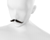 Rajasthani Moustache