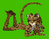 LeopardBliss2