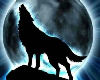 Wolf Moon