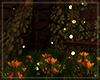 🌿 Backyard Fireflies