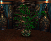 DreamTrap Plant1