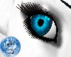[S]Dkby Blue Eye {F/V2}