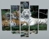 Tiger Buddies Frame