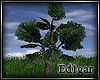 (ED1)Tree-17