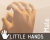 Small Hands