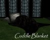 AV Cuddle Blanket