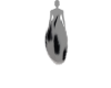 Dalmatian tail