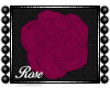Rose [Pink]