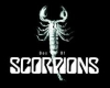 Scorpions Album Sticker