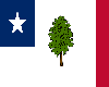 PRE-CW Mississippi Flag