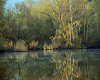 el lago