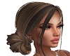 Light Brown Classy Bun