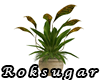 RS Potted plant 3