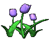 PurpleTulips2(Animated)