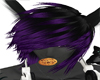 Violett dark long hairs