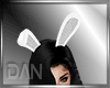 [LD]Bunny White Play