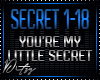 {D Ur My Little Secret