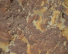 Rock Texture Photo