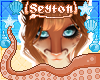 ✦ Jezza | Hair