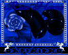 blue rose horns