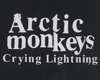 Arctic Monkeys Lightning