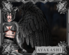 A| Gryphon Wings Drk