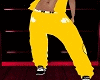 WE! gold heart pant
