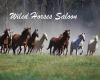 Wiled Horses Saloon