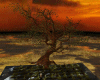 Animated  sunsent Tree