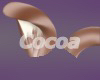 Cocoa Ears V1